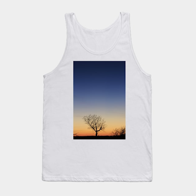 Kansas Sunset at Twilight with a Tree silhouette Tank Top by ROBERTDBROZEK